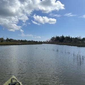Photo #23 of SOLD property in Off Styron Creek Road, Sealevel, NC 105.0 acres