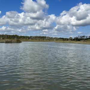 Photo #24 of SOLD property in Off Styron Creek Road, Sealevel, NC 105.0 acres