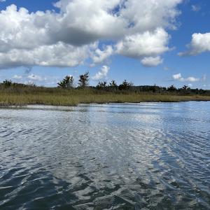 Photo #25 of SOLD property in Off Styron Creek Road, Sealevel, NC 105.0 acres