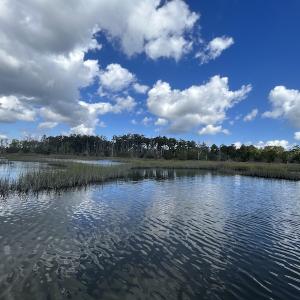 Photo #28 of SOLD property in Off Styron Creek Road, Sealevel, NC 105.0 acres