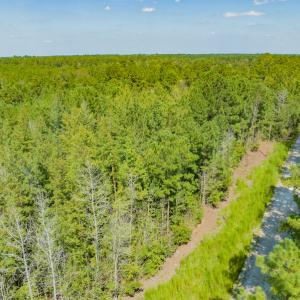 Photo #3 of SOLD property in Off Soles Cemetery Lane, Tabor City, NC 5.0 acres