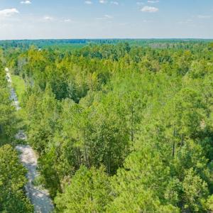 Photo #4 of SOLD property in Off Soles Cemetery Lane, Tabor City, NC 5.0 acres