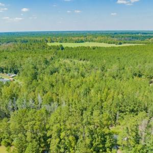 Photo #6 of SOLD property in Off Soles Cemetery Lane, Tabor City, NC 5.0 acres