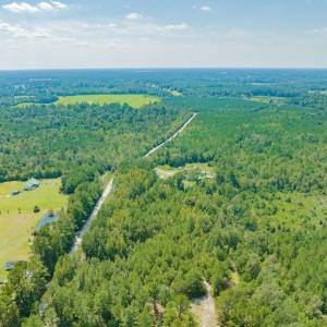 Photo #7 of SOLD property in Off Soles Cemetery Lane, Tabor City, NC 5.0 acres