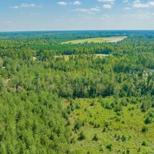 Photo #8 of SOLD property in Off Soles Cemetery Lane, Tabor City, NC 5.0 acres