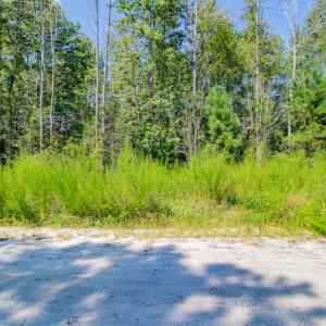 Photo #12 of SOLD property in Off Soles Cemetery Lane, Tabor City, NC 5.0 acres