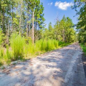 Photo #13 of SOLD property in Off Soles Cemetery Lane, Tabor City, NC 5.0 acres