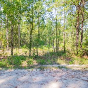 Photo #14 of SOLD property in Off Soles Cemetery Lane, Tabor City, NC 5.0 acres