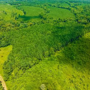 Photo #2 of SOLD property in Off Hunters Bluff Drive, Warrenton, NC 12.0 acres