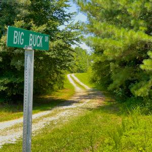Photo #6 of SOLD property in Off Hunters Bluff Drive, Warrenton, NC 12.0 acres