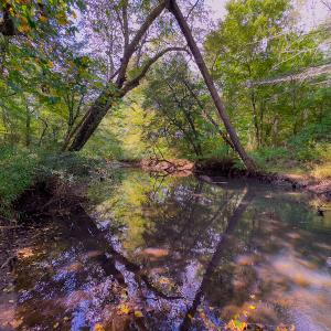 Photo #9 of SOLD property in Off Hunters Bluff Drive, Warrenton, NC 12.0 acres