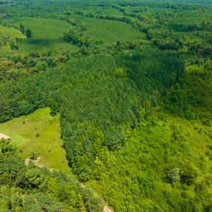 Photo #12 of SOLD property in Off Hunters Bluff Drive, Warrenton, NC 12.0 acres