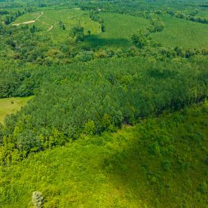 Photo #15 of SOLD property in Off Hunters Bluff Drive, Warrenton, NC 12.0 acres