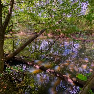 Photo #16 of SOLD property in Off Hunters Bluff Drive, Warrenton, NC 12.0 acres