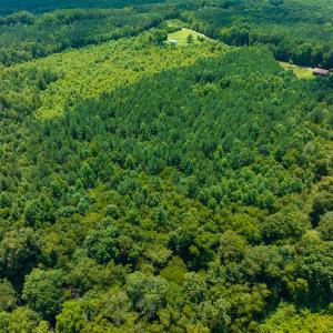 Photo #17 of SOLD property in Off Hunters Bluff Drive, Warrenton, NC 12.0 acres