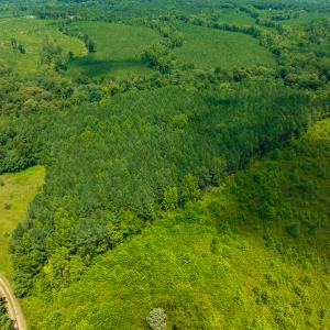 Photo #19 of SOLD property in Off Hunters Bluff Drive, Warrenton, NC 12.0 acres