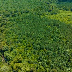 Photo #21 of SOLD property in Off Hunters Bluff Drive, Warrenton, NC 12.0 acres
