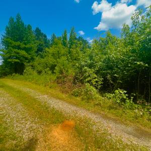 Photo #22 of SOLD property in Off Hunters Bluff Drive, Warrenton, NC 12.0 acres