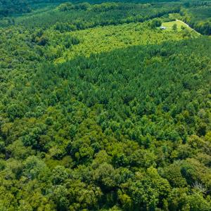 Photo #24 of SOLD property in Off Hunters Bluff Drive, Warrenton, NC 12.0 acres
