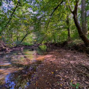 Photo #25 of SOLD property in Off Hunters Bluff Drive, Warrenton, NC 12.0 acres