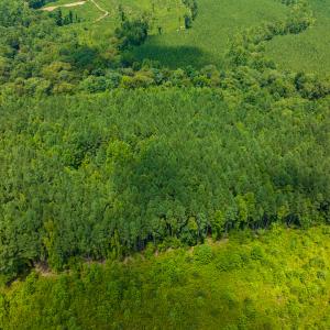 Photo #26 of SOLD property in Off Hunters Bluff Drive, Warrenton, NC 12.0 acres