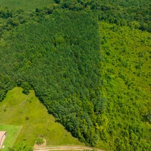 Photo #27 of SOLD property in Off Hunters Bluff Drive, Warrenton, NC 12.0 acres