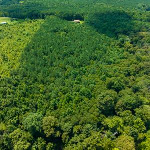 Photo #29 of SOLD property in Off Hunters Bluff Drive, Warrenton, NC 12.0 acres