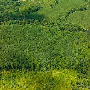 Photo #30 of SOLD property in Off Hunters Bluff Drive, Warrenton, NC 12.0 acres