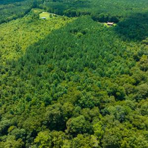 Photo #33 of SOLD property in Off Hunters Bluff Drive, Warrenton, NC 12.0 acres