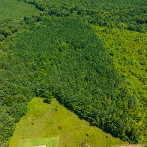 Photo #34 of SOLD property in Off Hunters Bluff Drive, Warrenton, NC 12.0 acres