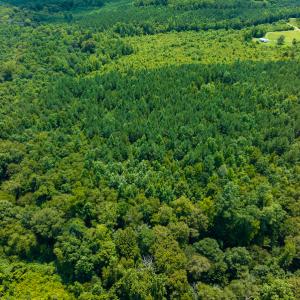 Photo #38 of SOLD property in Off Hunters Bluff Drive, Warrenton, NC 12.0 acres