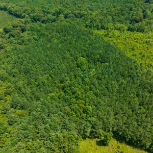 Photo #39 of SOLD property in Off Hunters Bluff Drive, Warrenton, NC 12.0 acres