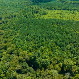 Photo #41 of SOLD property in Off Hunters Bluff Drive, Warrenton, NC 12.0 acres
