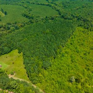 Photo #42 of SOLD property in Off Hunters Bluff Drive, Warrenton, NC 12.0 acres