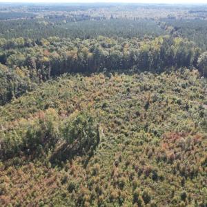 Photo #3 of SOLD property in Off Crayton Lane, Amelia Court House, VA 6.5 acres