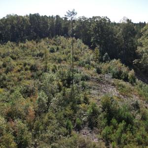 Photo #4 of SOLD property in Off Crayton Lane, Amelia Court House, VA 6.5 acres