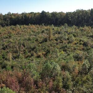 Photo #5 of SOLD property in Off Crayton Lane, Amelia Court House, VA 6.5 acres