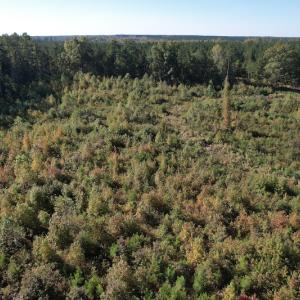 Photo #6 of SOLD property in Off Crayton Lane, Amelia Court House, VA 6.5 acres