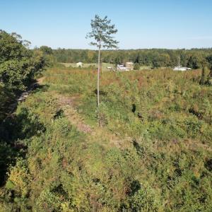 Photo #7 of SOLD property in Off Crayton Lane, Amelia Court House, VA 6.5 acres