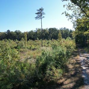 Photo #8 of SOLD property in Off Crayton Lane, Amelia Court House, VA 6.5 acres