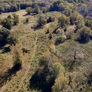 Photo #12 of SOLD property in Off Lowrys Road, Gaffney, SC 579.9 acres