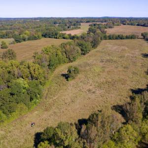 Photo #13 of SOLD property in Off Lowrys Road, Gaffney, SC 579.9 acres