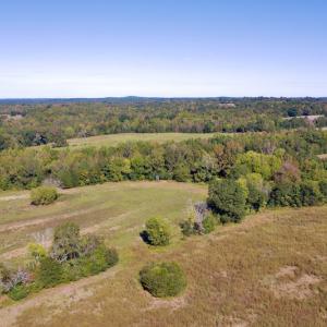 Photo #14 of SOLD property in Off Lowrys Road, Gaffney, SC 579.9 acres