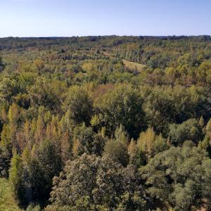 Photo #15 of SOLD property in Off Lowrys Road, Gaffney, SC 579.9 acres