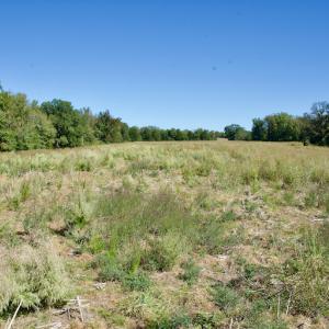 Photo #16 of Off Lowrys Road, Gaffney, SC 579.9 acres