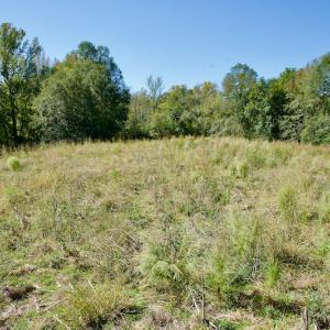 Photo #17 of SOLD property in Off Lowrys Road, Gaffney, SC 579.9 acres