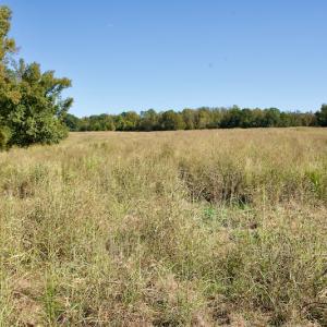 Photo #18 of Off Lowrys Road, Gaffney, SC 579.9 acres