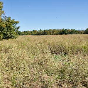 Photo #18 of SOLD property in Off Lowrys Road, Gaffney, SC 579.9 acres