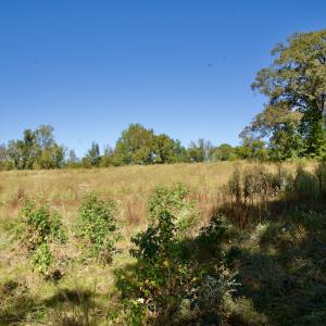 Photo #20 of SOLD property in Off Lowrys Road, Gaffney, SC 579.9 acres
