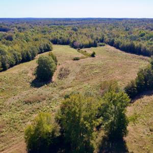 Photo #4 of SOLD property in Off Lowrys Road, Gaffney, SC 579.9 acres